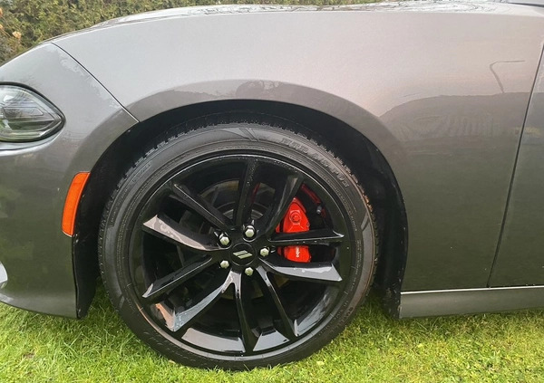 Dodge Charger cena 115500 przebieg: 118000, rok produkcji 2019 z Mieszkowice małe 326